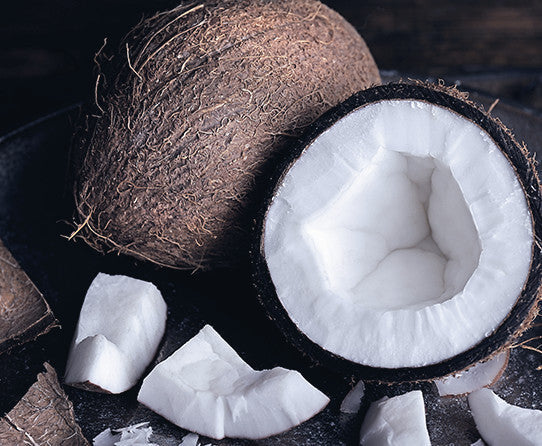Coconut